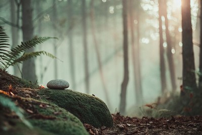 Presence in Practice: Simple Mindfulness Habits to Elevate Performance at Work and Beyond