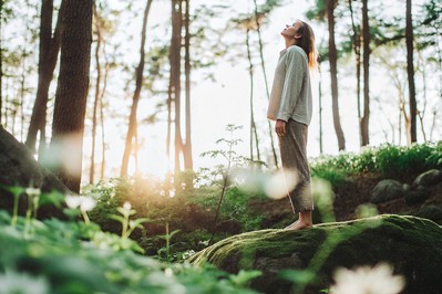 From Challenge to Clarity: How Motivational Coaching Turns Adversity into Authentic Purpose