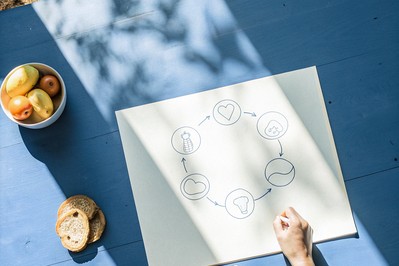 Values to action loop sketch