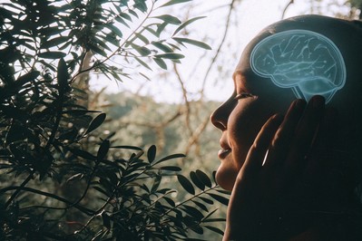 Rewiring Your Inner Narrative: How Neuroscience Unlocks Lasting Confidence