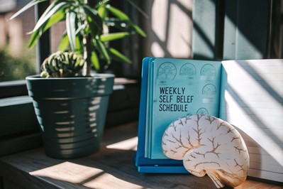 diagram of hippocampus and prefrontal cortex showing plasticity changes