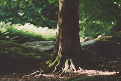Harnessing Resilience: Transforming Life’s Hardships into Lasting Strength and Purpose