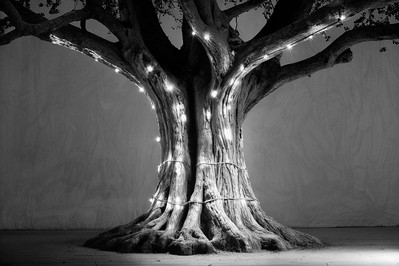 Family tree blended with software code and connected hearts and brains