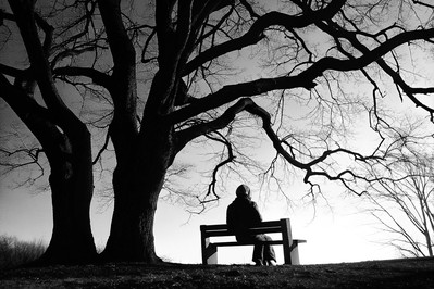 From Loss to Renewal: How Grief Can Spark Neurobiological Growth and Self-Discovery